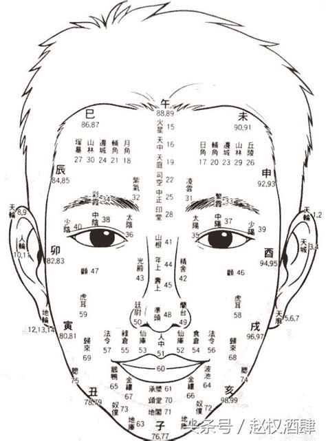 流年面相年齡|【面相年齡】一窺你的面相年齡：用九執流年法、面相學，瞭解你。